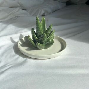 plant jewelry holder🌱